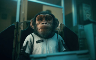 Monkey white shirt black backpack - a monkey with free wallpaper