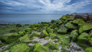 Rocky shore green mossy water - mossy free wallpaper for desktop