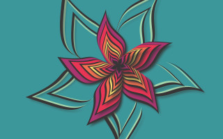 Red flower green background gradient - a red flower free wallpaper for desktop