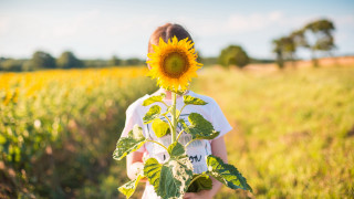 Girl sunflower field blurry sky - figuration libre free wallpaper