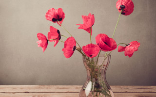 Red rose vase wooden table - a wooden table next free wallpaper