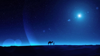 Desert night moon stars camel - the desert free wallpaper