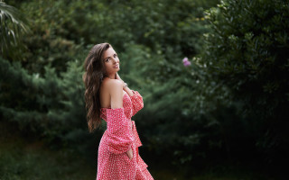 Pink dress woman field forest - a pink dress free wallpaper for desktop