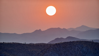Sunset mountain bird foreground forest - a sunset over a mountain range free wallpaper