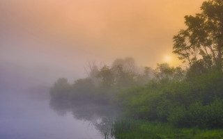 Foggy river trees bushes sunset - mist free wallpaper