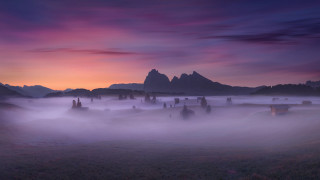 Foggy sunset mountains mystical group - top of a field free wallpaper