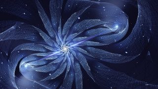 Blue flower starry background planet - a blue flower free wallpaper