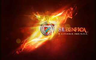 Red yellow fire shield bird - bernard accama free wallpaper