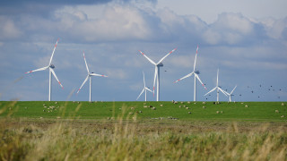 Wind turbines sheep field sky - a few sheep free wallpaper