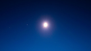 Bright moonlight snow field tree - light and space free wallpaper for desktop