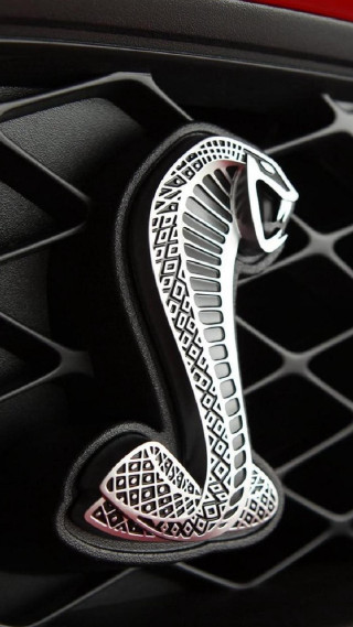 Car emblem snake grille red - free cars wallpaper