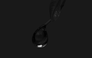 Water drop leaf black background - smooth free wallpaper