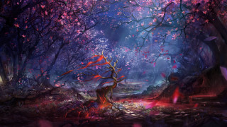 Forest fire anato finnstark matte - anato finnstark free wallpaper