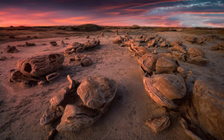 Desert rocks boulders pink sky - a desert landscape free wallpaper
