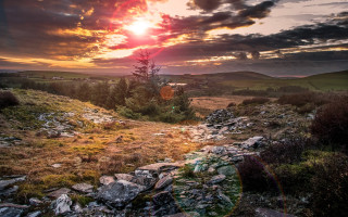 Rocky path sunset tree clouds - a tree in the distance free wallpaper for desktop