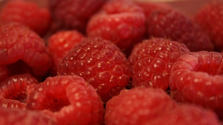 Raspberries bowl water spoon macro - raspberry free wallpaper for desktop