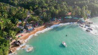Boat beach palm trees shore - the water near a beach free wallpaper