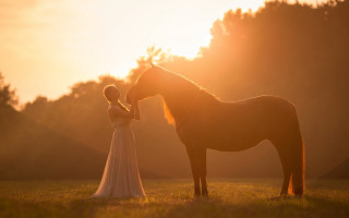 Woman dress horse sunset backlit - the horse free wallpaper