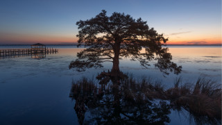 Tree water dock sunset pier - charles ragland bunnell free wallpaper