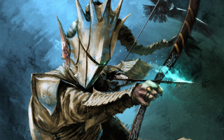 Fantasy archer bird aurora starry - his shoulder and a bird free wallpaper