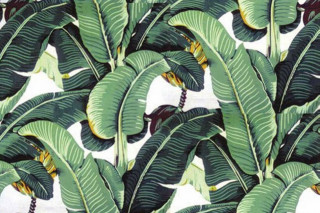 Banana tree print maximalism ultrafine - jungle free wallpaper