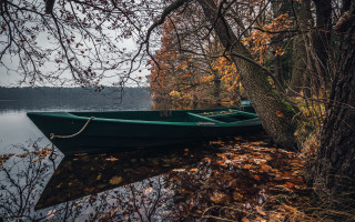 Green boat water tree leaves - german romanticism free wallpaper