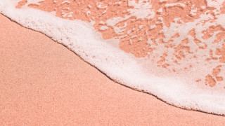 Pink beach wave sunset floral - a wave free wallpaper