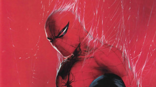 Spiderman red background white lines - alex ross free wallpaper
