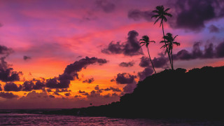 Sunset palmtrees rockyoutcrop pinksky clouds - cloud above free wallpaper