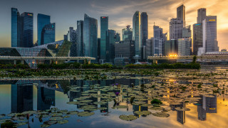 City skyline lake lily pads - a yellow sky free wallpaper