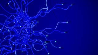 Blue wires lights clock bruce - bruce munro free wallpaper