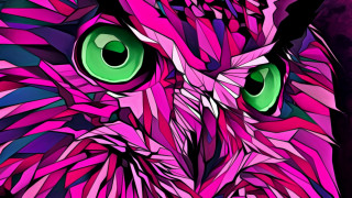 Colorful owl green eyes purple - psychedelic art free wallpaper for desktop
