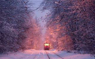 Snowy forest train night magic - a train traveling free wallpaper