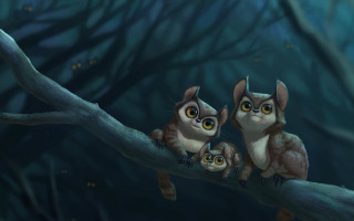 Two owls branch wide eyed - two owl free wallpaper