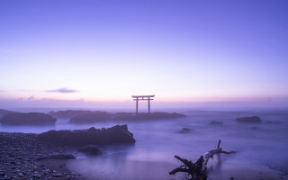 Lone tree stump rocky beach - a rocky beach free wallpaper