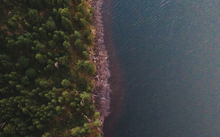 Boat shore tree night starry - the water near a shore line free wallpaper