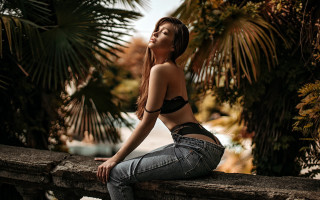 Elina karimova palm trees sunset - a ledge free wallpaper for desktop