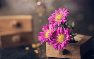 Wooden box pink flowers ring - a ring free wallpaper
