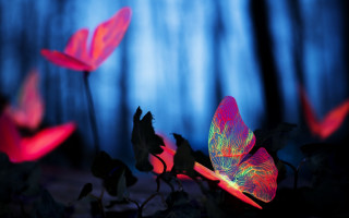 Pink flower glowing forest blue - ambient light free wallpaper