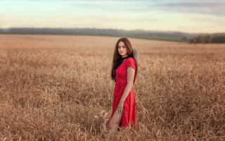 Woman red dress wheat field 6 - anna hotchkis free wallpaper