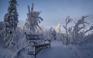 Snowy forest bench blue sky - andor basch free wallpaper for desktop