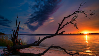 Tree branch water sunset clouds - colorful cloud free wallpaper
