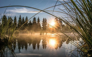 Sunset lake fog trees ferriswheel - the background and trees free wallpaper