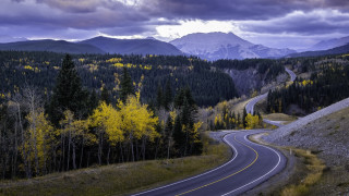 Winding road forest mountains clouds - the road free wallpaper