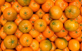 Orange pile halloween basketball ghost - green stem free wallpaper