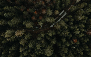 Above forest snowy road autumn - bernt tunold free wallpaper