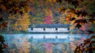 Barn lake fall leaves photography - fall foliage free wallpaper