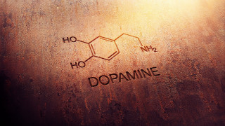 Dopamine brown substance light window - expressive free wallpaper