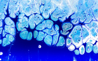 Blue plant underwater bubbles moon - macro art free wallpaper