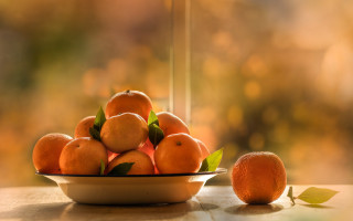 Bowl oranges leafy branch still - the table free wallpaper for desktop